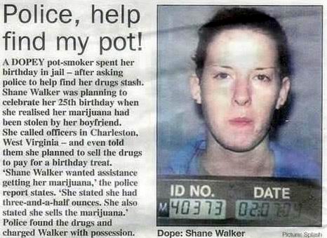 pot_find.jpg